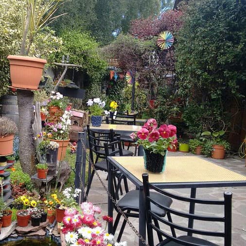 Café Paseo de las Flores